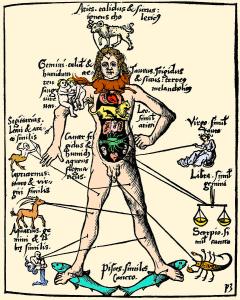 16th-century-medical-astrology-cordelia-molloy